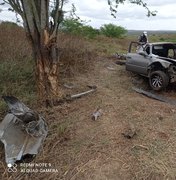 Após grave acidente, motorista colide em árvore não resiste e morre, em Batalha