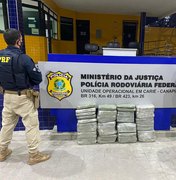 Dois traficantes são presos com cerca de 50 kg de maconha pela PRF, em Canapi