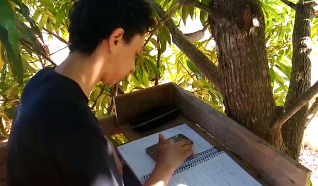 Pais constroem 'sala de aula' em árvore para filhos conseguirem pegar sinal de internet