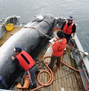 Japão anuncia sua retirada da comissão que protege baleias e a volta da caça comercial