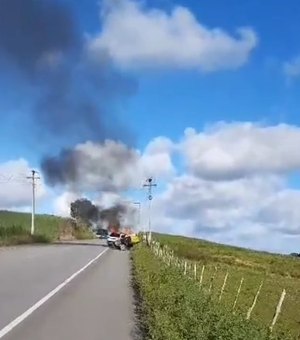 Carro incendia em rodovia de Porto Calvo