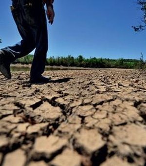 Município alagoano decreta situação de emergência por causa da seca