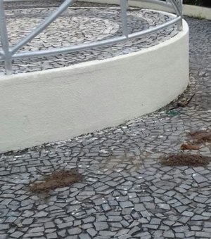 Moradores de rua utilizam praças de Arapiraca como banheiro público