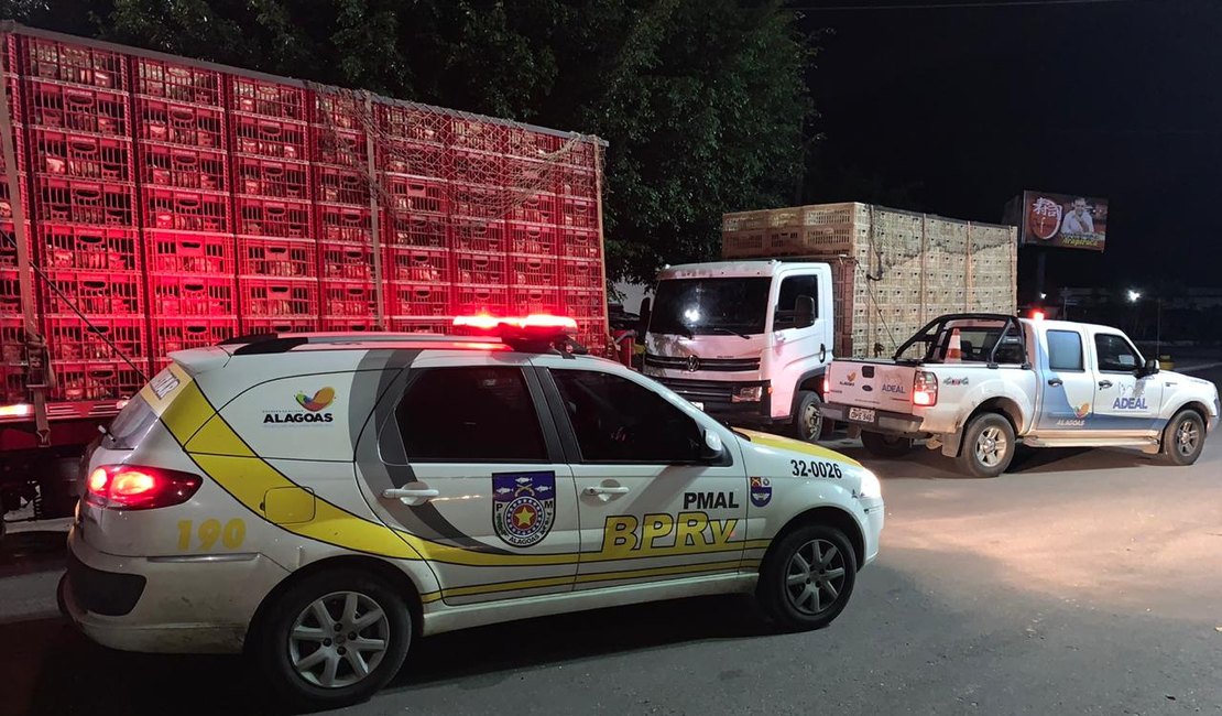 Em uma semana, 32 mil frangos sem notas fiscais foram apreendidos em AL