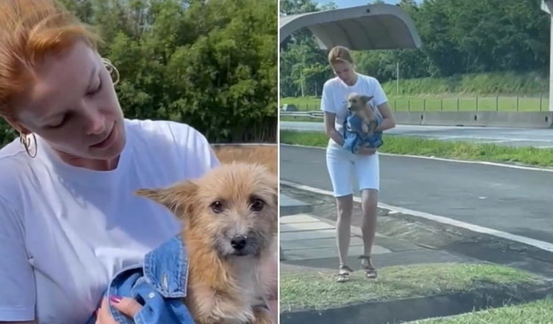 Ana Hickmann resgata cachorro abandonado em estrada: 'Foi deixado para morrer'