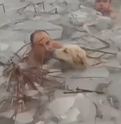 Policiais pulam em lago congelado para salvar cachorro na Espanha