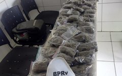 Drogas apreendidas pelo BPRv