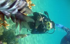 Mergulhos são um dos principais atrativos de Maragogi e APA Costa dos Corais