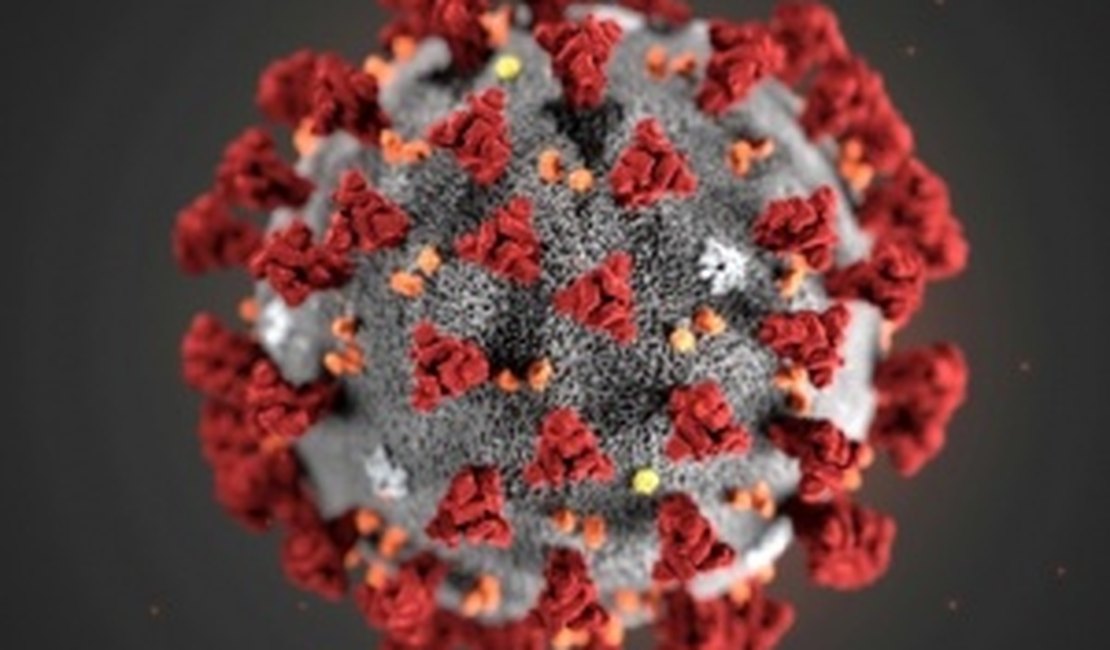 Primeiro paciente brasileiro internado com coronavírus é curado, diz infectologista