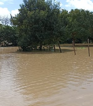 [Vídeo] Rio Comandatuba inunda loteamento em Porto Calvo e deixa famílias desalojadas