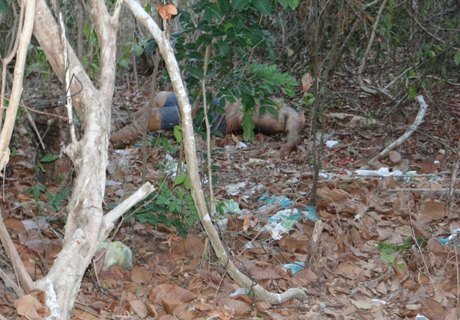 V Deo Corpo De Homem Encontrado Sem A Cabe A Em Matagal No Benedito