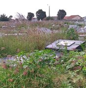 Cemitério municipal acumula mato e sujeira em Arapiraca
