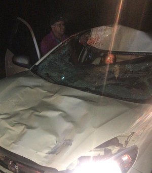 Taxista colide em cavalo na AL 465 e mulher fica ferida em Porto Calvo