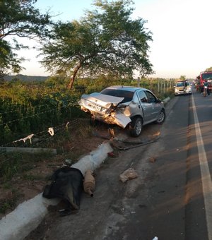 [Vídeo]Condutor perde a direção do veículo e provoca acidente na AL-115, em Arapiraca