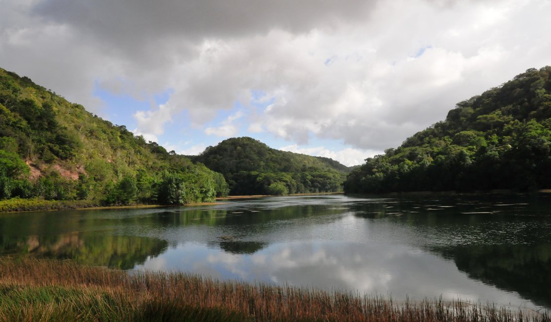 Número de reservas ambientais aumenta em Alagoas 