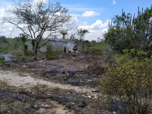 Vegetação pega fogo em Penedo e incêndio é controlado por Bombeiros