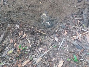 Cadáver é encontrado em cova rasa na zona rural de União dos Palmares
