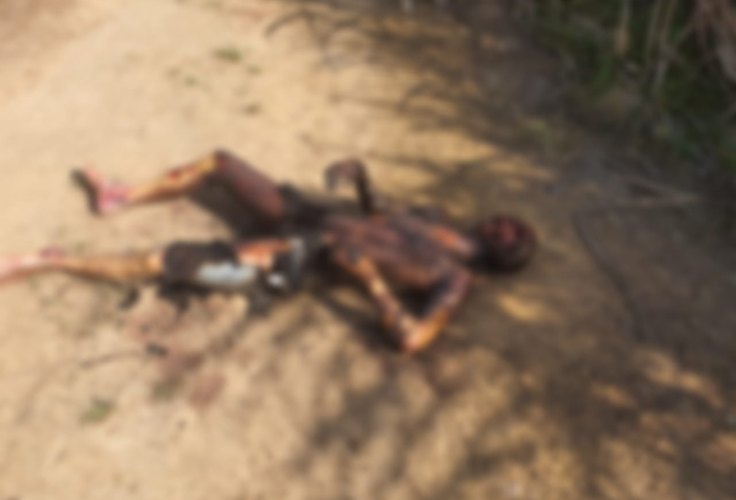 Cadáver é encontrado carbonizado na zona rural de Murici