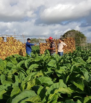 Agricultores girauenses são beneficiados com programa de preparo do solo
