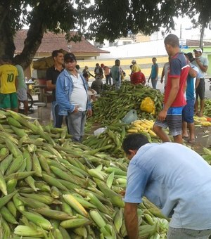 Copa faz preço do milho cair e atrapalha comércio do produto em Arapiraca