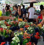 Maceió sedia Festival das Flores de Holambra a partir do dia 17
