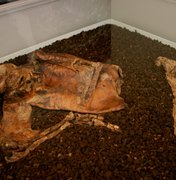 Homem confessa assassinato, mas corpo achado tinha 1.600 anos de idade
