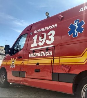 Pitbull ataca e deixa criança e mais três pessoas feridas em Maceió