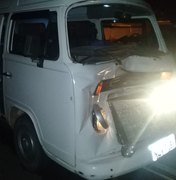 Acidente entre animal e veículo é registrado na rodovia AL 220, em Arapiraca 