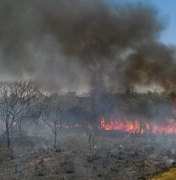 Bolsonaro autoriza queimadas fora da Amazônia