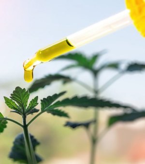 Anvisa aprova comercialização de Extrato de Cannabis