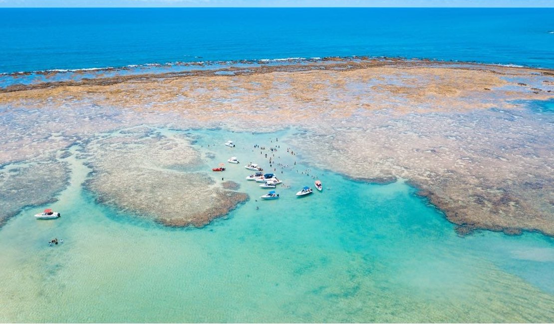Prefeitura de Maragogi aumenta alvarás para piscinas da Barretinha