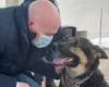 Homem adota cadela rejeitada por três abrigos e cão salva a sua vida
