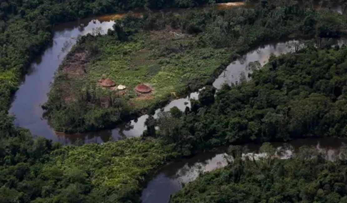 FAB aumenta prazo para que garimpeiros deixem terra Yanomami em voos privados