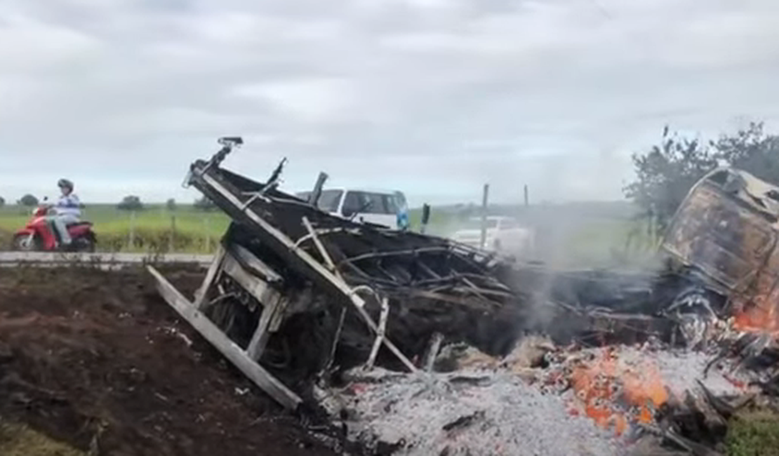 [Vídeo ] Caminhão é destruído pelo fogo após colidir em árvore