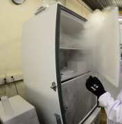 Criança desliga refrigerador e vacinas contra covid são perdidas