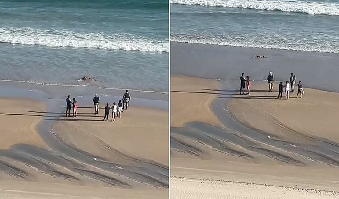 Corpo de homem é encontrado na Praia da Avenida