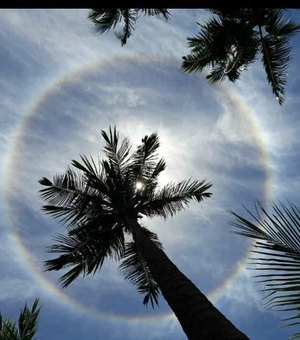 [Vídeo] Fenômeno Halo Solar aparece no Litoral Norte de Alagoas