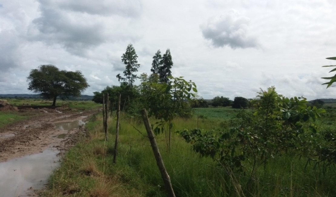 Técnicos do IMA monitoram recuperação de áreas degradadas em Satuba