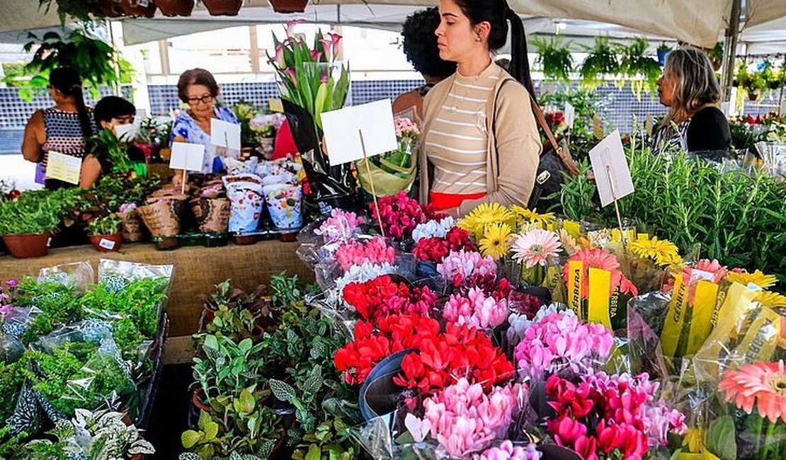 Maceió recebe a 15ª edição do Festival das Flores de Holambra nesta quinta-feira (2)