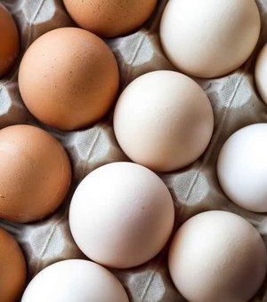 Com alta do preço da carne, consumo de ovos aumenta em Maceió