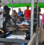 Secretaria da Agricultura realiza Feira do Peixe Vivo na Semana Santa
