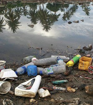 Brasil é o 4º país que mais produz lixo no mundo, diz WWF