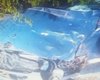 Cavalo é atropelado por van lotada com pacientes de Pernambuco no Sertão de Alagoas