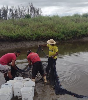 Arapiraca incentiva piscicultura com o povoamento de 3 mil juvenis de tambaqui na Zona Rural