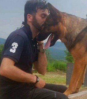 Cão que salvou vidas em terremoto morre envenenado