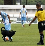 PARAENSE: Cachorro impede gol, e clássico termina empatado