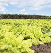 PAA Estadual tem orçamento de R$ 15 mi para compra de produtos da agricultura familiar