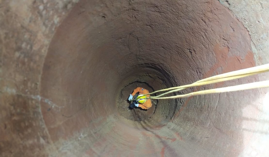 Gato é resgatado pelo Corpo de Bombeiros após cair dentro de uma Cacimba desativada, em Arapiraca