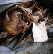 'Abandono de ossadas': direção do IML de Maceió diz que está catalogando e identificando ossos