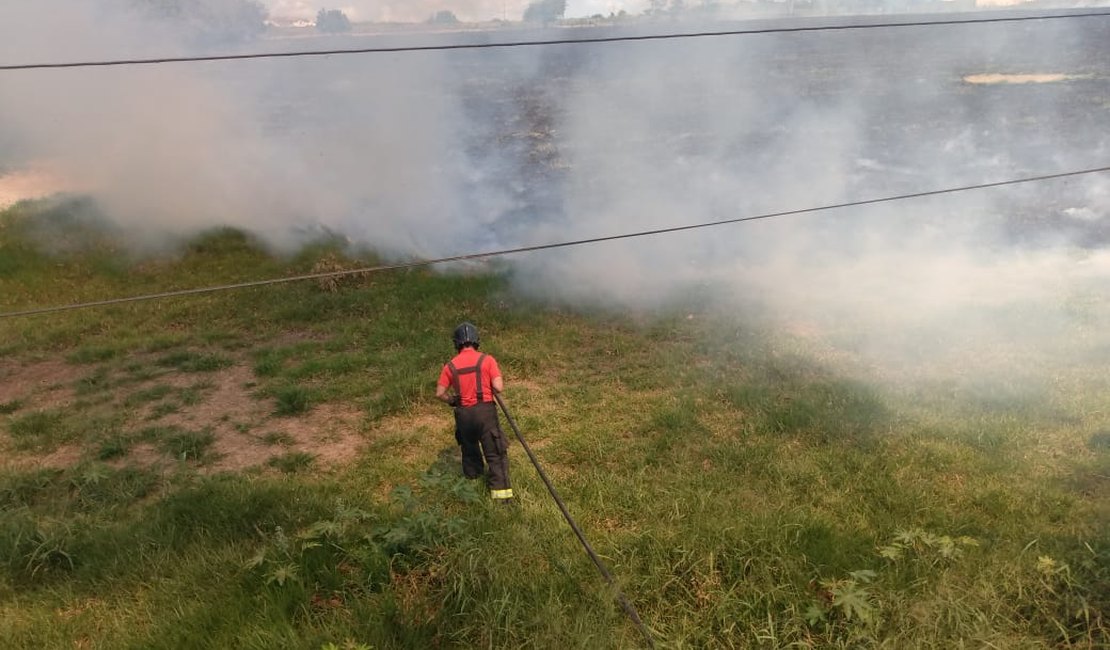 Bombeiros controlam incêndio em área de vegetação em Arapiraca